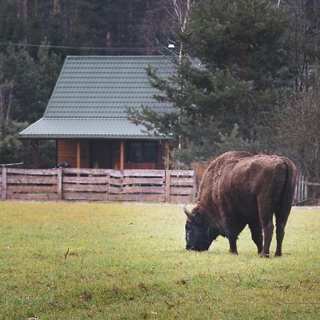 Lesna 21 Dom Polnoc Przy Zalew Siemianowka Villa Luka Buitenkant foto